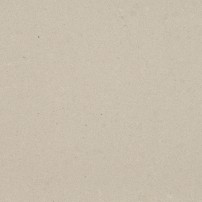 4004 RAW CONCRETE ***