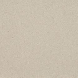 4004 RAW CONCRETE