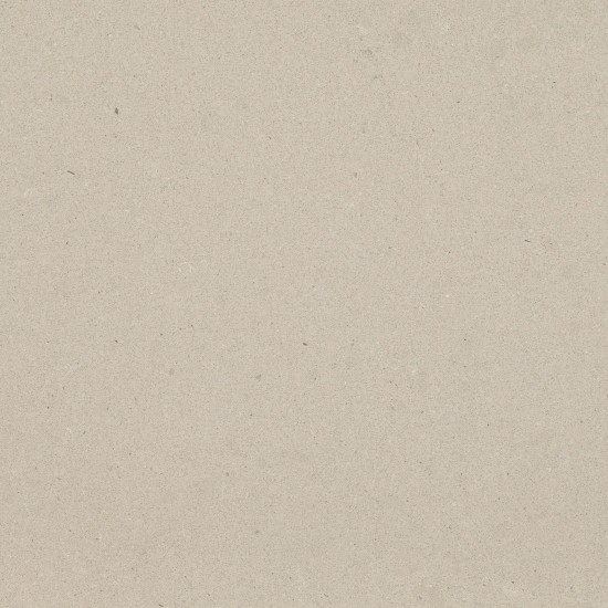 4004 RAW CONCRETE