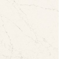 4600 ORGANIC WHITE **