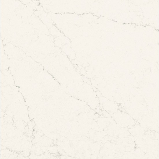 4600 ORGANIC WHITE