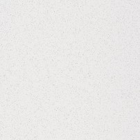 6011 INTENSE WHITE *