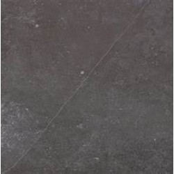** FOSSIL