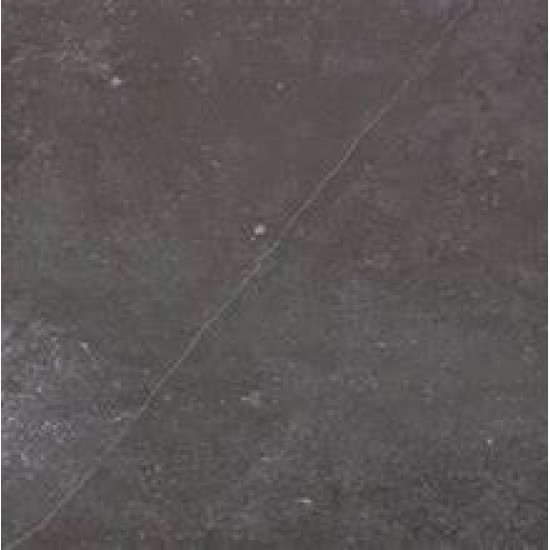 ** FOSSIL