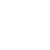 PURE WHITE *
