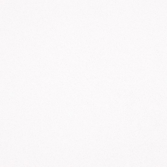 6011 INTENSE WHITE