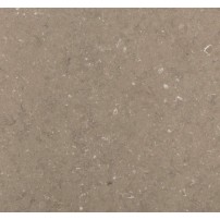 Coral Clay **